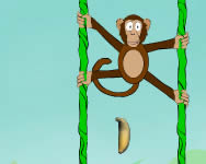 Jungle spider monkey majmos jtkok ingyen