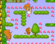Monkey Pacman majmos jtkok ingyen